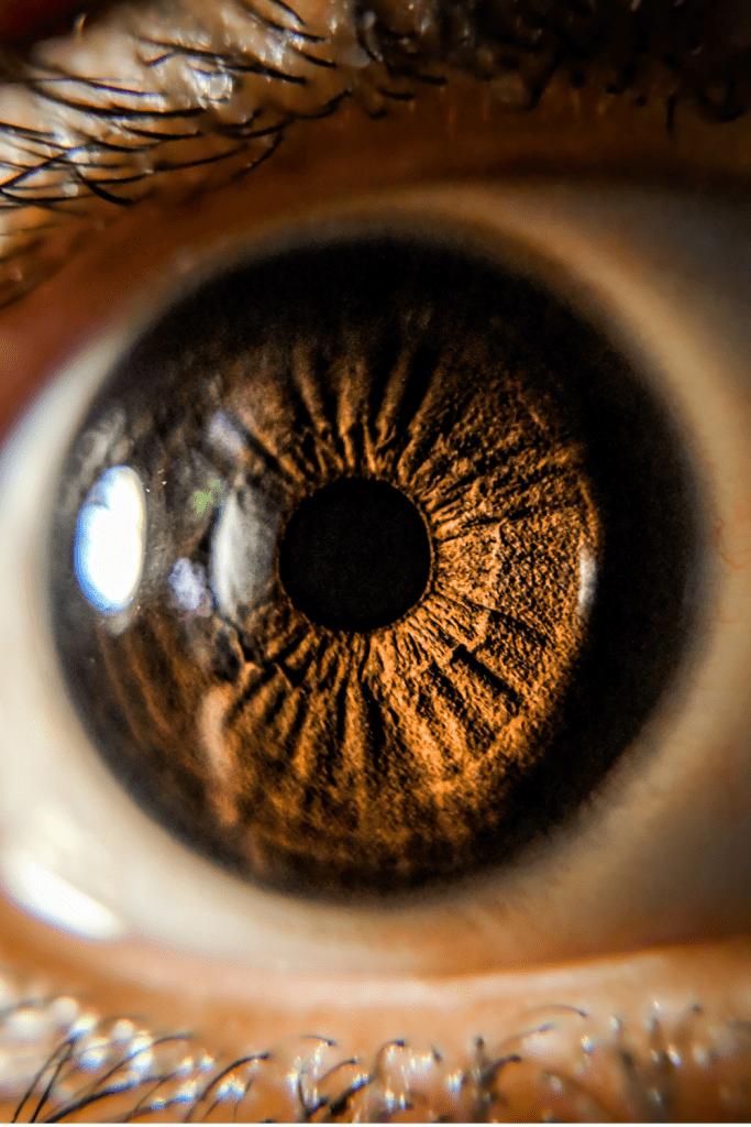 Macrophotography eye