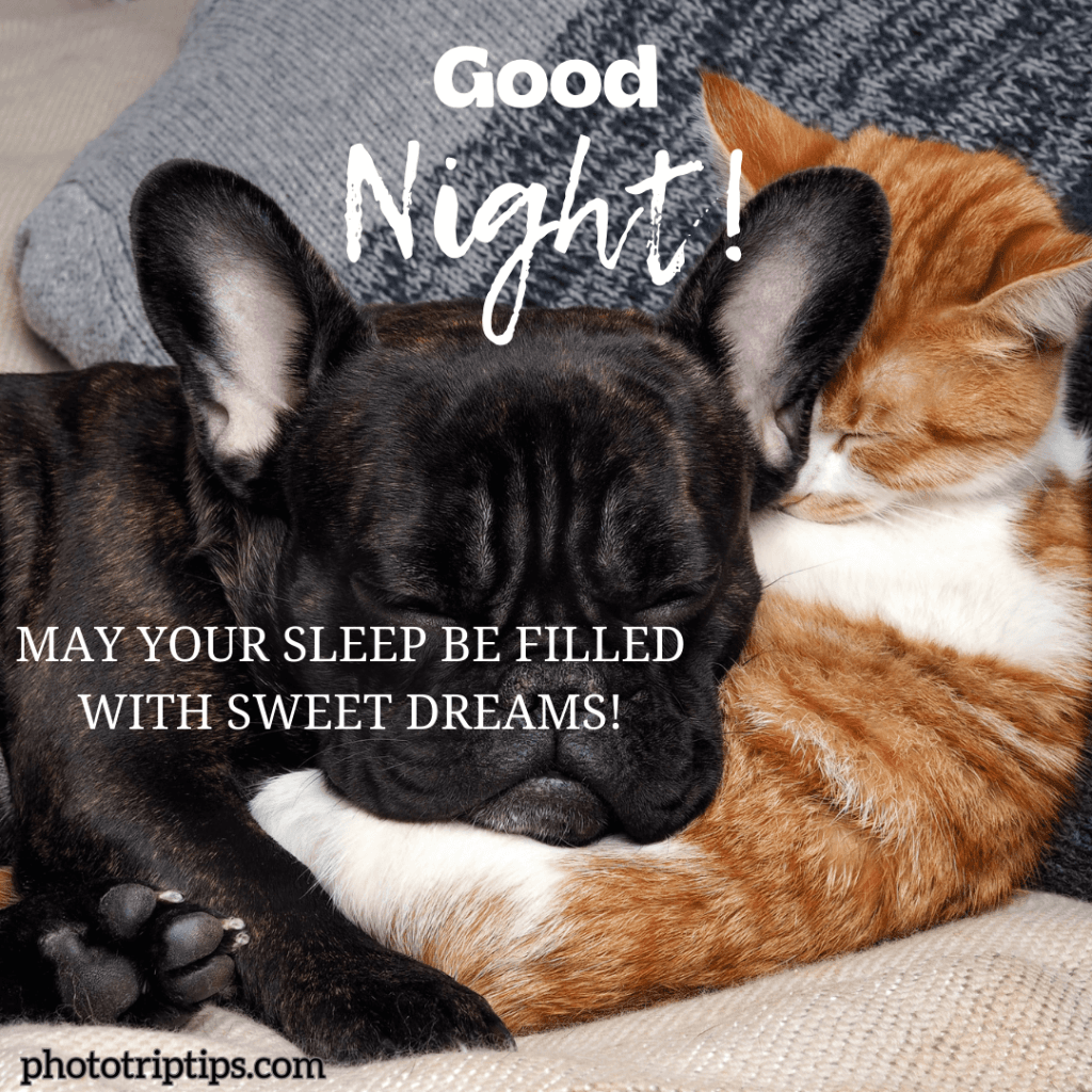 May Your Sleep be filled with sweet dreams