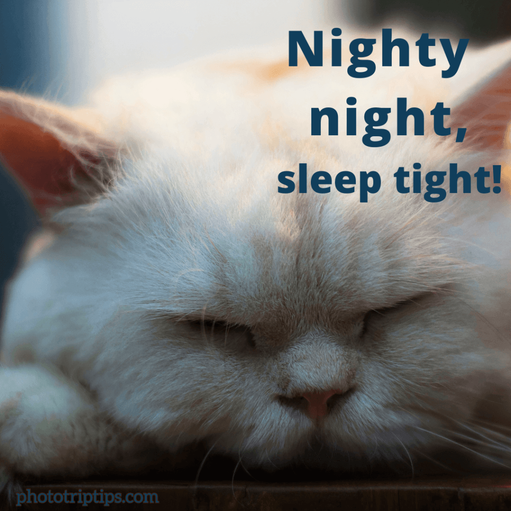 nighty night sleep tight